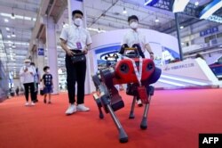 北京举行的2022世界机器人大会上一个四脚机器人在行走。(2022年8月18日)