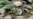 16x9 Image