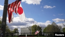 为迎接日本首相岸田文雄访美,华盛顿白宫附近的街头已经挂起了美日两国旗帜。(2024年4月5日)
