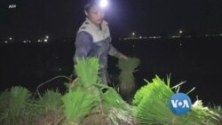 အာရှစီးပွားရေး အာရှစီးပွားရေး