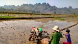 တိုက်ပွဲကြားက ဒီးမော့ဆို စိုက်ပျိုးခင်းများ တိုက်ပွဲကြားက ဒီးမော့ဆို စိုက်ပျိုးခင်းများ