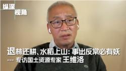 退林还耕、水稻上山:事出反常必有妖——专访国土资源专家王维洛 退林还耕、水稻上山:事出反常必有妖——专访国土资源专家王维洛