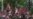 16x9 Image