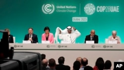 2023年12月,在迪拜举行的第28届联合国气候大会(COP28)经过两周的激烈谈判后达成共识。(美联社照片)