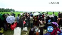 ရိုဟင်ဂျာတွေ စစ်မှုထမ်းဖို့ ဖိအားပေးခံနေရ ရိုဟင်ဂျာတွေ စစ်မှုထမ်းဖို့ ဖိအားပေးခံနေရ