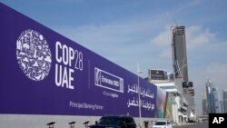 2023年11月27日,阿联酋迪拜街头的COP28宣传板。(美联社照片)