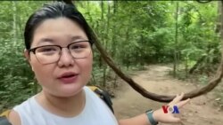ဒွိုင်ဆုတပ်တောင်ပေါ်က လေ့ကျင့်ခန်း ဒွိုင်ဆုတပ်တောင်ပေါ်က လေ့ကျင့်ခန်း