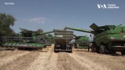 Експорт продовольства з України: що про це кажуть фермери у Польщі. Відео Експорт продовольства з України: що про це кажуть фермери у Польщі. Відео