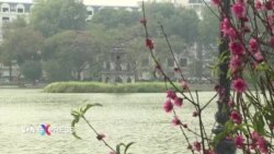 Hàng trăm người thương vong vì tai nạn giao thông dịp Tết Hàng trăm người thương vong vì tai nạn giao thông dịp Tết