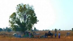 စစ်ကိုင်း ခင်ဦးမြို့နယ်တွင်း လက်နက်ကြီးကြောင့် ဒေသခံ ၆ ဦးသေဆုံး စစ်ကိုင်း ခင်ဦးမြို့နယ်တွင်း လက်နက်ကြီးကြောင့် ဒေသခံ ၆ ဦးသေဆုံး