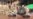 16x9 Image