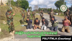 ဖမ်းဆီးရမိသည့် စစ်ကောင်စီတပ်သားများကို TNLA က ထုတ်ပြန်ခဲ့ (နိုဝင်ဘာ ၂၀၂၄)