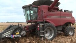 Nông nghiệp toàn cầu tiếp tục biến động vì cuộc chiến ở Ukraine  Nông nghiệp toàn cầu tiếp tục biến động vì cuộc chiến ở Ukraine
