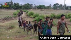 ရခိုင်ပြည်နယ်မှာ စစ်ကောင်စီတပ်ဖွဲ့ဝင် ရာနဲ့ချီ လက်နက်ချကြောင်း AA က သတင်းထုတ်ပြန်သည့် ဗွီဒီယိုမှ မြင်ရသည့်ပုံ (မေ ၆၊ ၂၀၂၄)