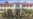 16x9 Image