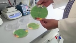 E-Coli ဘက်တီးရီးယားပိုးနဲ့ UEFA ရလာဒ်ခန့်မှန်း "ထူးခြားဆန်းပြားသတင်းများ" E-Coli ဘက်တီးရီးယားပိုးနဲ့ UEFA ရလာဒ်ခန့်မှန်း "ထူးခြားဆန်းပြားသတင်းများ"