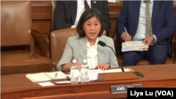 美国贸易代表戴琪(Katherine Tai)在众议院筹款委员会上就拜登政府2024年的贸易议程作证。(2024年4月16日)