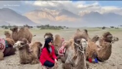 ထာဝရခရီးသွားသူရဲ့ ဗုဒ္ဓဝင်ပုံပြင်လေ့လာရေး “Gen Z” ထာဝရခရီးသွားသူရဲ့ ဗုဒ္ဓဝင်ပုံပြင်လေ့လာရေး “Gen Z”