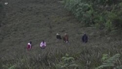 ဖက်ရှင်ပစ္စည်းထုတ်နိုင်တဲ့ နာနတ်စိုက်ခင်း
 ဖက်ရှင်ပစ္စည်းထုတ်နိုင်တဲ့ နာနတ်စိုက်ခင်း
