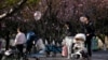 上海一个公园里父母推着婴儿车赏春。(2023年4月2日)