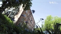 Сумщина може стати наступним напрямком наступу росіян у спробі розтягнути українську лінію оборони. Відео Сумщина може стати наступним напрямком наступу росіян у спробі розтягнути українську лінію оборони. Відео