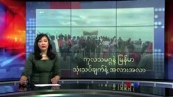 ကုလသမဂ္ဂနဲ့ မြန်မာ (သုံးသပ်ချက်နဲ့ အလားအလာ)
 ကုလသမဂ္ဂနဲ့ မြန်မာ (သုံးသပ်ချက်နဲ့ အလားအလာ)