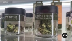 Trump, Biden both cautious, vague on marijuana positions Trump, Biden both cautious, vague on marijuana positions