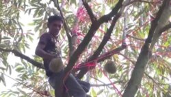 ဒီတပတ် အာရှစီးပွားရေး ဒီတပတ် အာရှစီးပွားရေး