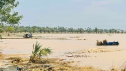 မိုခါဆိုင်ကလုန်းဒဏ် ခံခဲ့ရတဲ့ မြန်မာ့စိုက်ပျိုးရေး လုပ်ငန်း
 မိုခါဆိုင်ကလုန်းဒဏ် ခံခဲ့ရတဲ့ မြန်မာ့စိုက်ပျိုးရေး လုပ်ငန်း