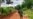 16x9 Image