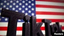 资料照片:TikTok标志和美国国旗。