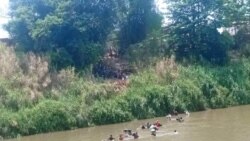 ထိုင်းရောက် ကရင်နီဒုက္ခသည် ၈၀၀ ကျော် မြန်မာနိုင်ငံဘက် ပြန်ရောက် ထိုင်းရောက် ကရင်နီဒုက္ခသည် ၈၀၀ ကျော် မြန်မာနိုင်ငံဘက် ပြန်ရောက်