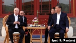 中国领导人习近平在北京中南海接待到访的俄罗斯总统普京。(2024年5月16日)