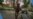 16x9 Image