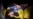 16x9 Image