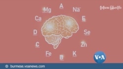 လူ့ကိုယ်ခန္ဓာထဲက Trace Elements  လူ့ကိုယ်ခန္ဓာထဲက Trace Elements
