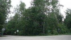 Ситуація на польсько-білоруському кордоні. Відео Ситуація на польсько-білоруському кордоні. Відео