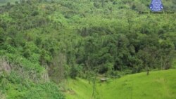 ညောင်လေးပင်မှာ စစ်တပ်ဖမ်းထားသူ ၁၄ ယောက် ဘယ်ရောက်နေမှန်းမသိသေး
 ညောင်လေးပင်မှာ စစ်တပ်ဖမ်းထားသူ ၁၄ ယောက် ဘယ်ရောက်နေမှန်းမသိသေး
