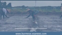 မြန်မာတောင်သူတွေအတွက် အသေးစားချေးငွေ လိုအပ်ချက် မြန်မာတောင်သူတွေအတွက် အသေးစားချေးငွေ လိုအပ်ချက်