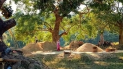 ရခိုင်ဒေသ စပါးအထွက်နှုန်းကျ၊ ဆန်ဈေးမြင့်တက်
 ရခိုင်ဒေသ စပါးအထွက်နှုန်းကျ၊ ဆန်ဈေးမြင့်တက်