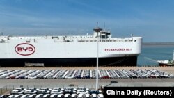 在中国江苏连云港等候装船出口的比亚迪电动车。(2024年4月25日)