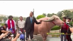 ဒေါ်လာ ၅ သိန်းတန်ကျွဲ ဝန်ကြီးချုပ်ဆီ လာလည် "ထူးခြားဆန်းပြားသတင်းများ" ဒေါ်လာ ၅ သိန်းတန်ကျွဲ ဝန်ကြီးချုပ်ဆီ လာလည် "ထူးခြားဆန်းပြားသတင်းများ"