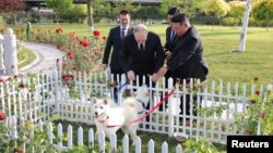 Tổng thống Nga Vladimir Putin và lãnh đạo Triều Tiên Kim Jong Un trong vườn của Nhà khách Kumsusan ở Bình Nhưỡng, Triều Tiên. Hình ảnh này do Thông tấn xã Trung ương Triều Tiên công bố ngày 20/6/2024.