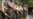 16x9 Image