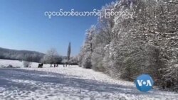 Ludwigsburg ပညာရေးတက္ကသိုလ် Ludwigsburg ပညာရေးတက္ကသိုလ်