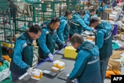 中国山东省邹平市一个物流中心的工人正在光棍节前夕分拣包裹。(2023年11月10日)