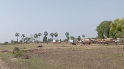 ကန့်ဘလူမှာ ဒုက္ခသည်တွေ မြွေအန္တရာယ်နဲ့ကြုံ
 ကန့်ဘလူမှာ ဒုက္ခသည်တွေ မြွေအန္တရာယ်နဲ့ကြုံ