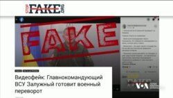 Бронежилети для вагітних, заборона зайця-русака та інше: фейки РФ про Україну. Відео Бронежилети для вагітних, заборона зайця-русака та інше: фейки РФ про Україну. Відео