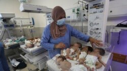 Emissão Vespertina: Hospital Shifa de Gaza evacua bebés prematuros Emissão Vespertina: Hospital Shifa de Gaza evacua bebés prematuros