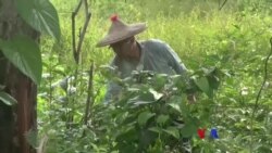 သဘာဝပတ်ဝန်းကျင်ကို စောင့်ရှောက်သူ “သူ့အကြောင်း” သဘာဝပတ်ဝန်းကျင်ကို စောင့်ရှောက်သူ “သူ့အကြောင်း”